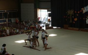 Gala147.jpg